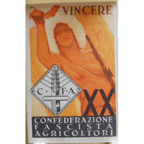 TESSERA DELLA CONFEDERAZIONE NAZIONALE FASCISTA DEGLI AGRICOLTORI, VERCELLI, ANNO XX